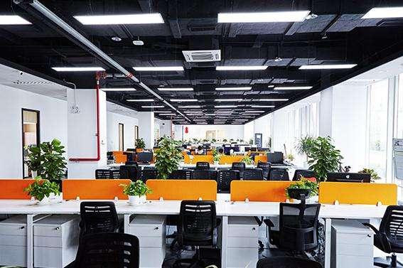 {賭馬}(互联网装修公司怎么样)